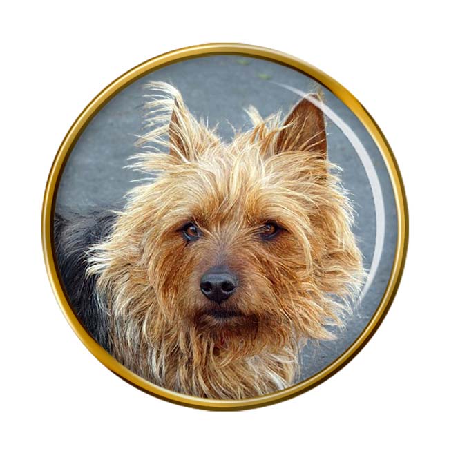 Australian Terrier Pin Badge