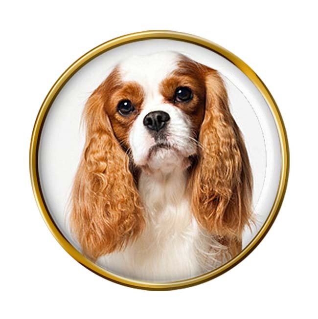 UK Gift Shop Cavalier King Charles Spaniel Pin Badge