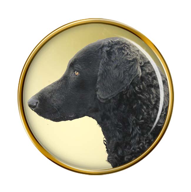 Curly Coated Retriever Pin Badge