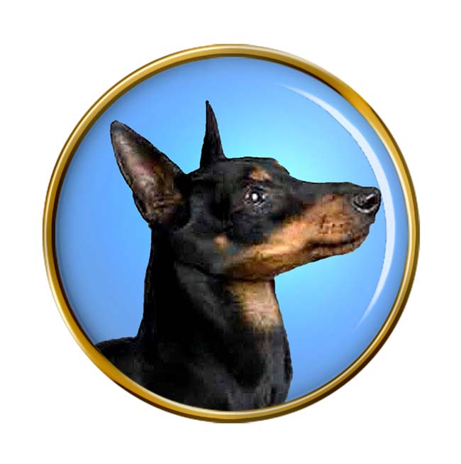 UK Gift Shop English Toy Terrier Black Tan Pin Badge