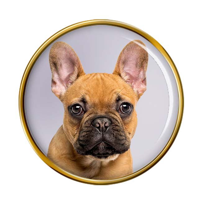 French Bulldog Pin Badge