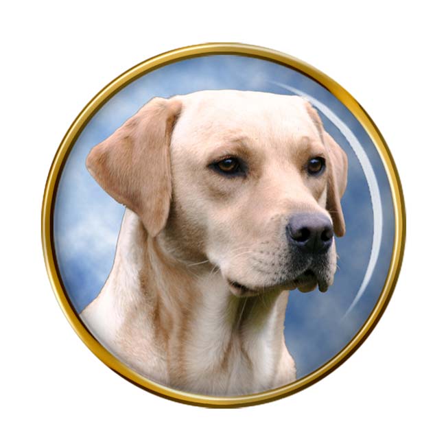 Golden Labrador Pin Badge