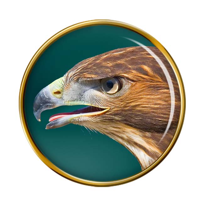 Hawk's Head Pin Badge