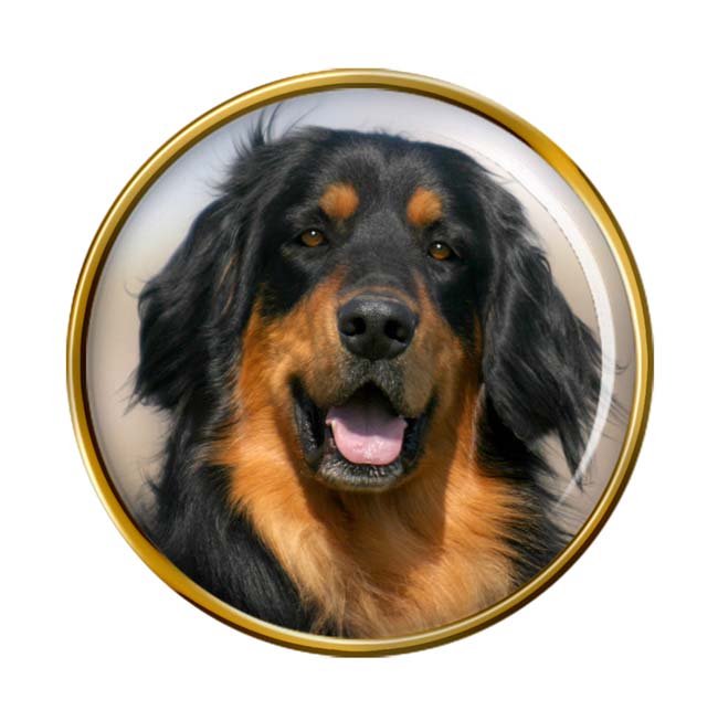 Hovawart Dog Pin Badge
