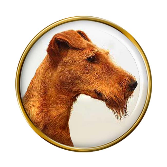 Irish Terrier Pin Badge