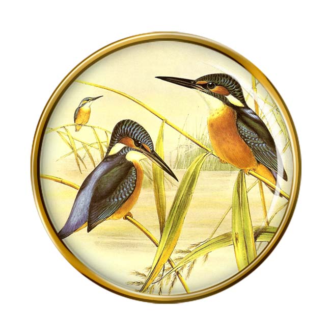 Kingfisher Pin Badge