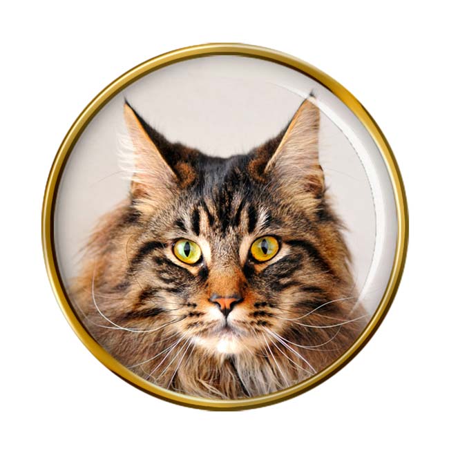 Maine Coon Cat Pin Badge