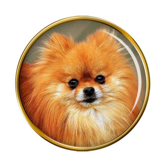 Pomeranian Dog (Zwergspitz) Pin Badge