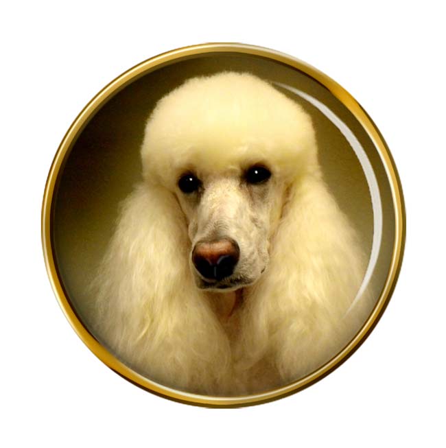 Poodle Dog Pin Badge