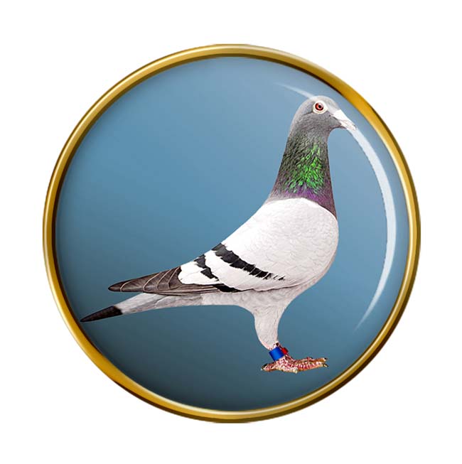 Racing Pigeon Pin Badge