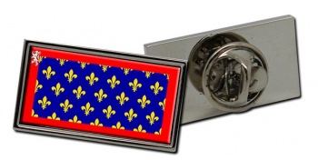 Maine (France) Flag Pin Badge
