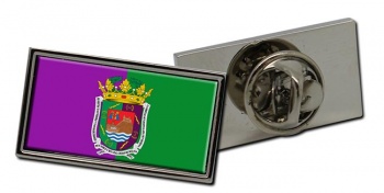 Malaga (Spain) Flag Pin Badge