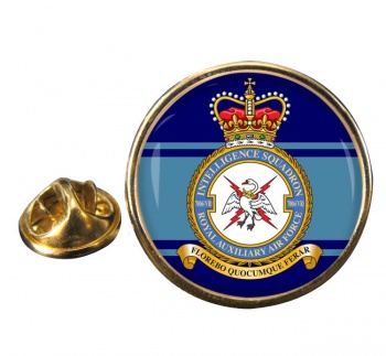 No. 7006 Intelligence Squadron RAuxAF Round Pin Badge