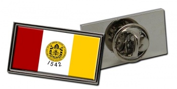 San Diego CA Flag Pin Badge