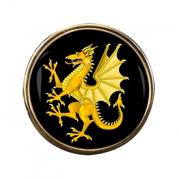 Somerset Dragon Round Pin Badge