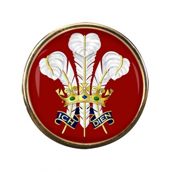 Surrey Feathers Round Pin Badge