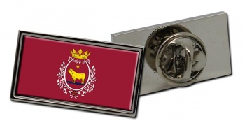 Teruel Ciudad (Spain) Flag Pin Badge
