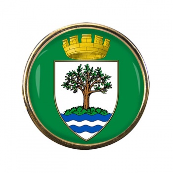 Worcestershire (England) Round Pin Badge